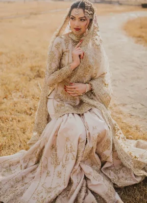 Light Brown Bridal Gharara VV (1)