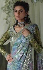 Multi Color Saree For Wedding Guests (3)