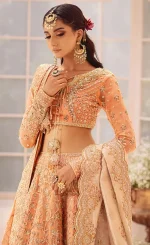 Orange Colour Lehenga Choli For Wedding Guests (4)