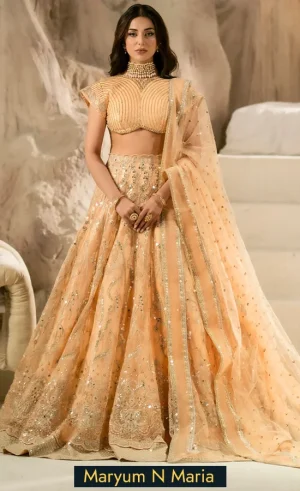 Indo-Western-Ghagra-For-Wedding-Guests-1