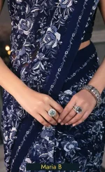 Champagne Saree For Wedding Guestsss (3)