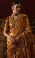 Organza Saree For Wedding Guestsss (1)